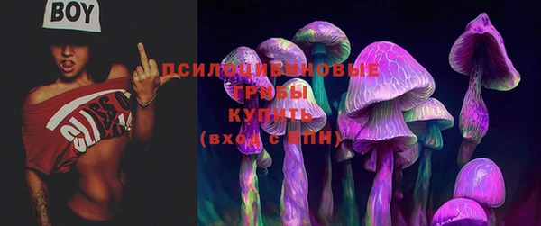 соль ск Мегион