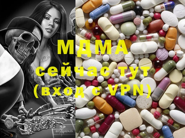 прущие грибы Михайлов