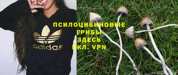 2c-b Михайловск