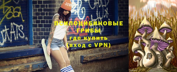сатива Медногорск
