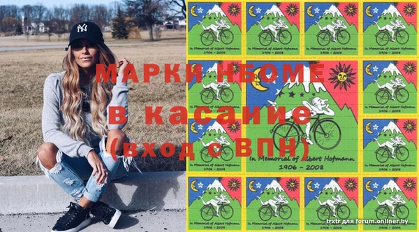 прущие грибы Михайлов