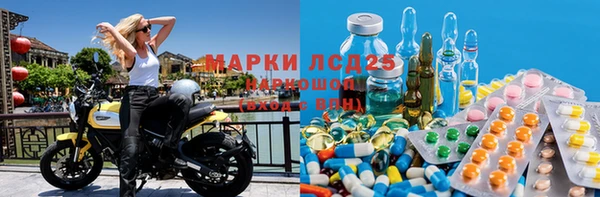 сатива Медногорск