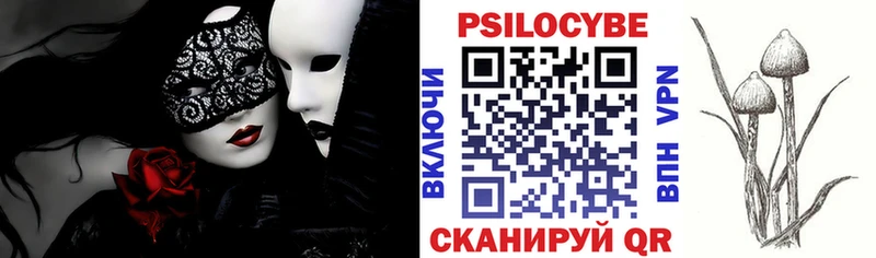 Галлюциногенные грибы ЛСД Петровск-Забайкальский